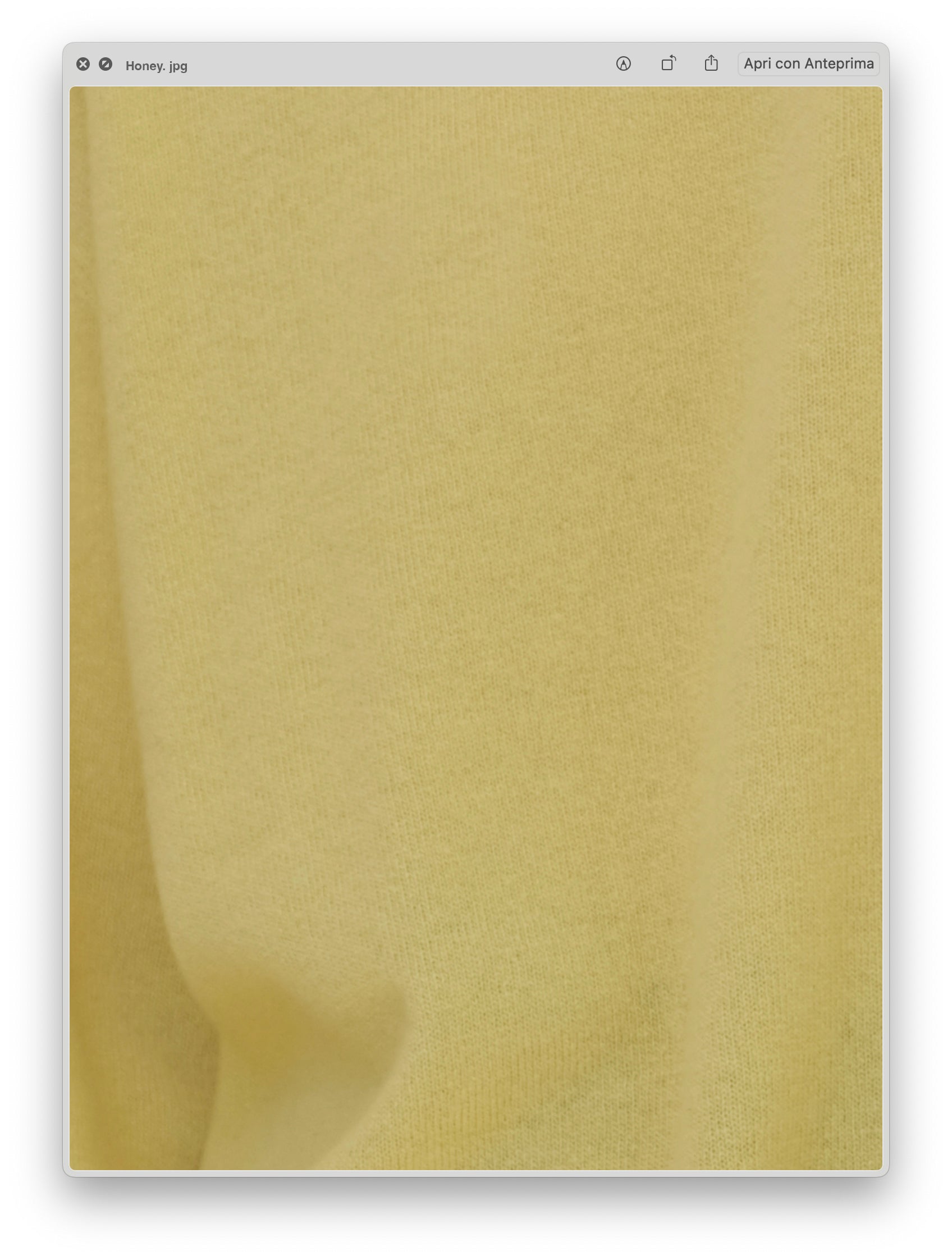 Pure Cashmere Cardigan