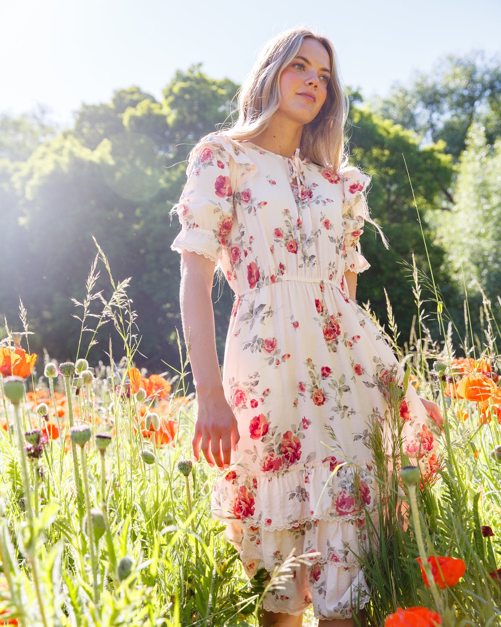 Vintage Romance Dress