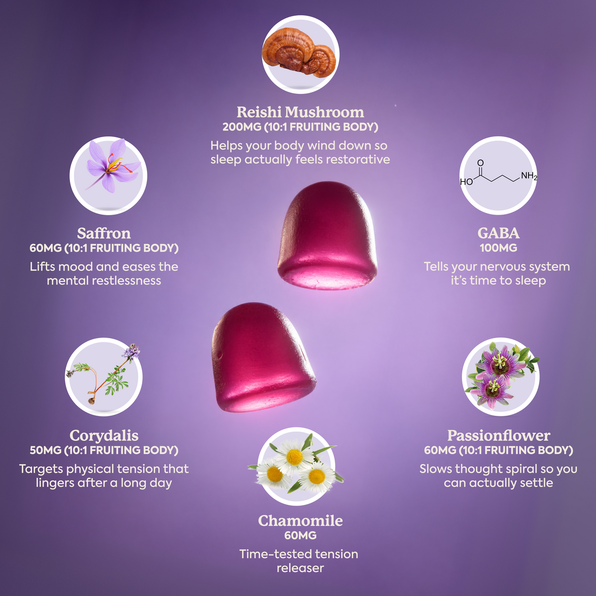 Wonder Sleep Mushroom Gummies
