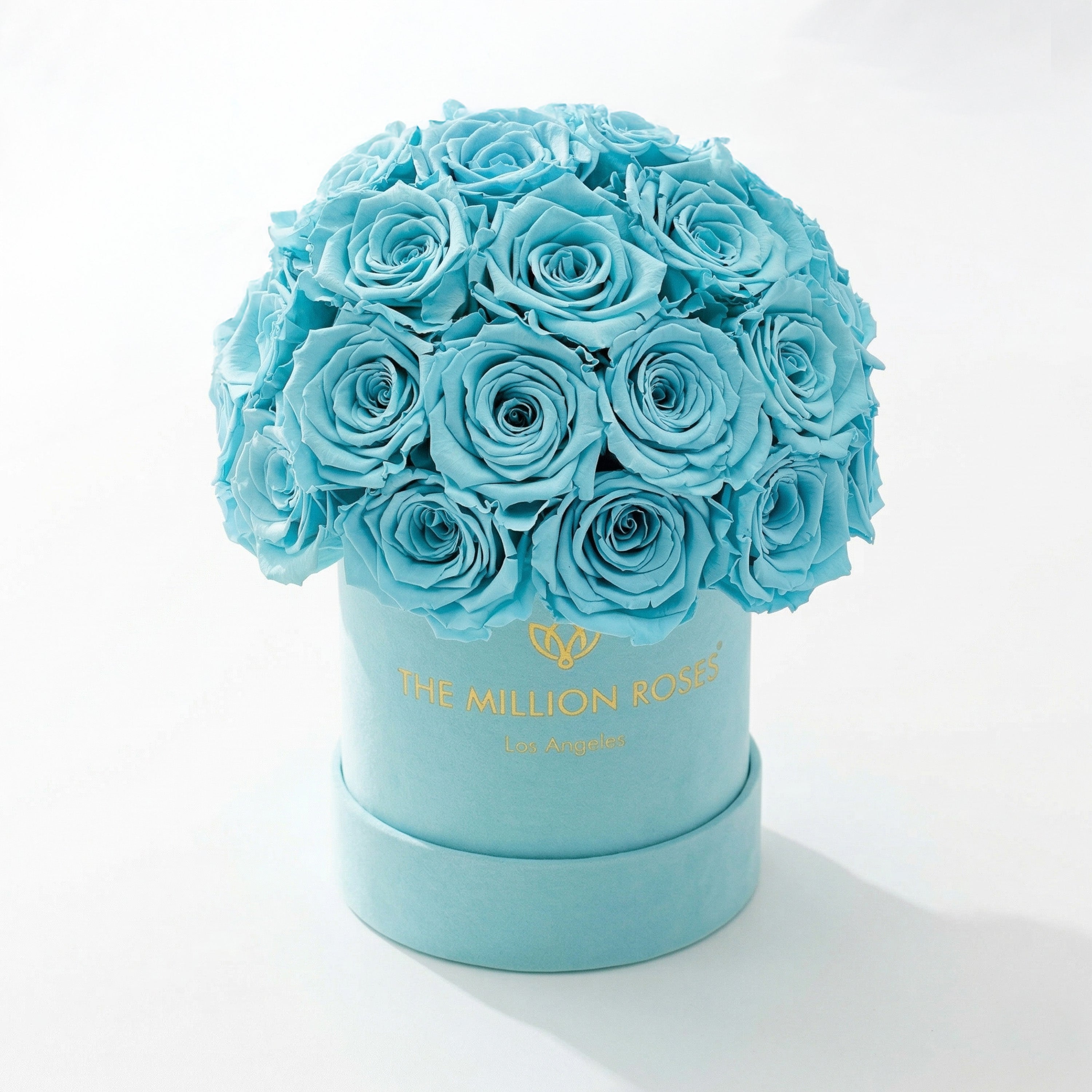 Basic Mint Green Suede Superdome Box | Turquoise Roses