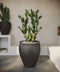 Bambino Planter