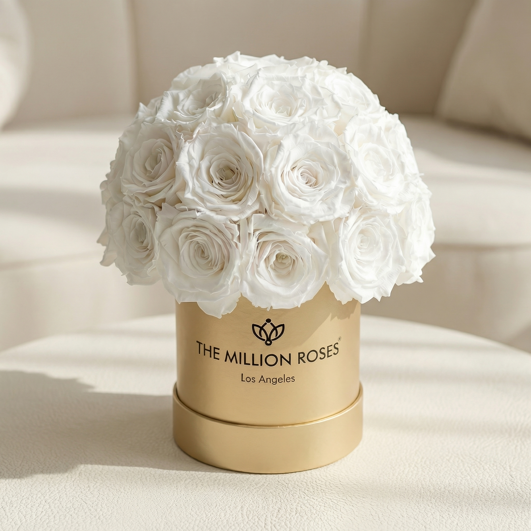 Basic Gold Superdome Box | White Roses