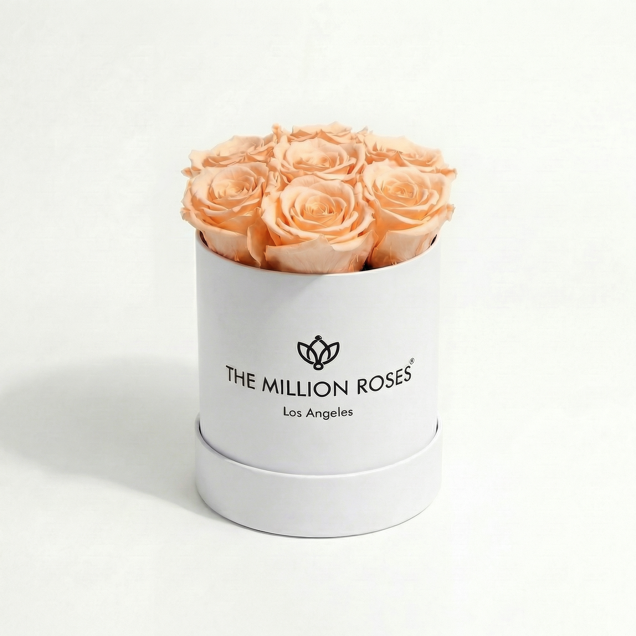 Essence White Box | Peach Roses