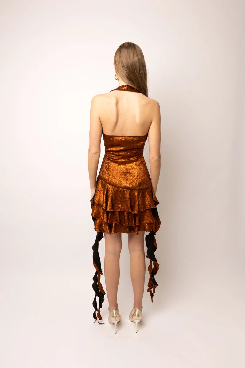 Becky Rust Mini Dress