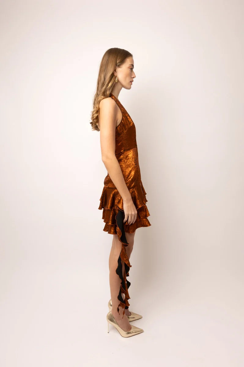 Becky Rust Mini Dress