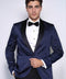 Patterned Shawl Lapel Navy Blue Men Tuxedo Jacket - Wessi