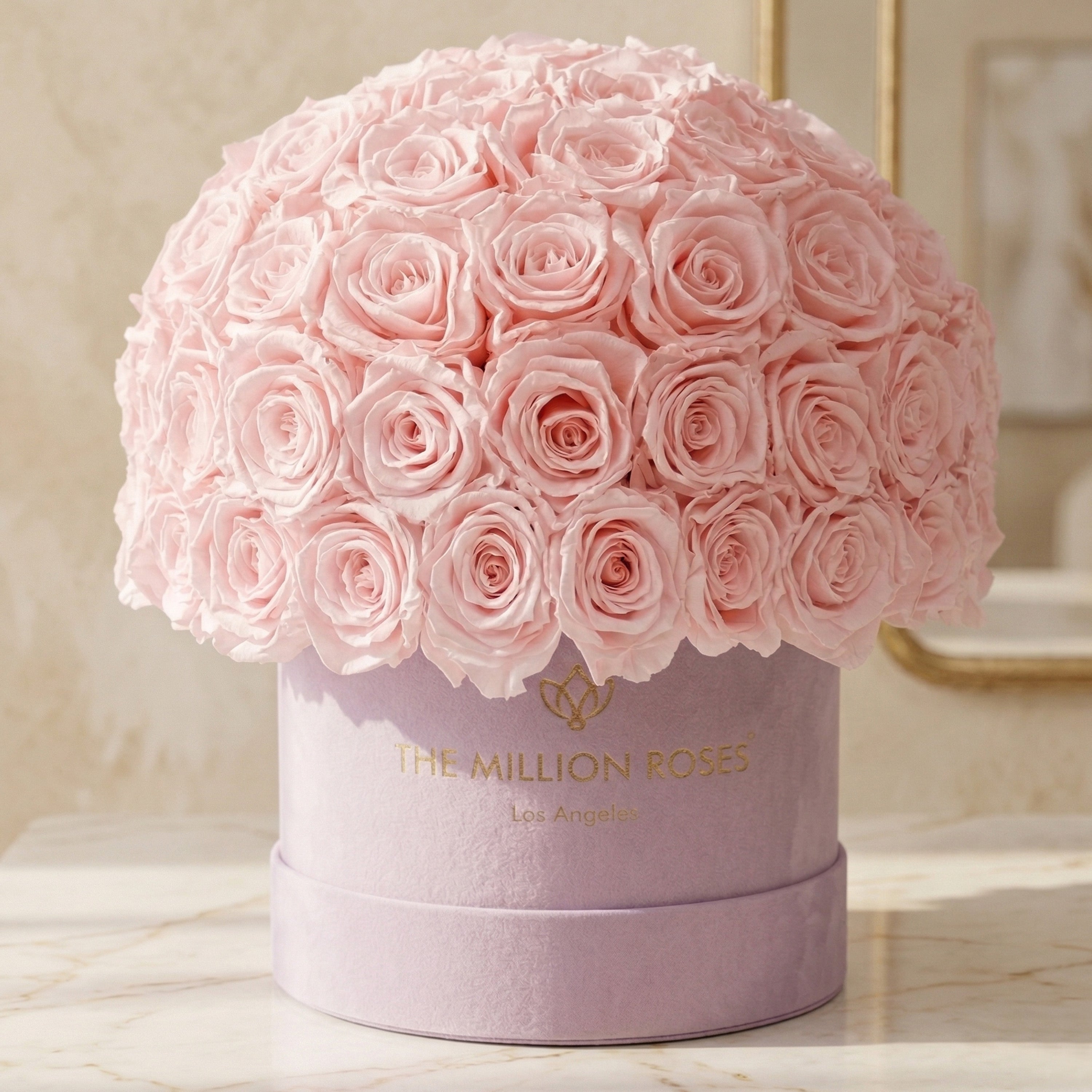 Classic Light Pink Suede Superdome Box | Light Pink Roses