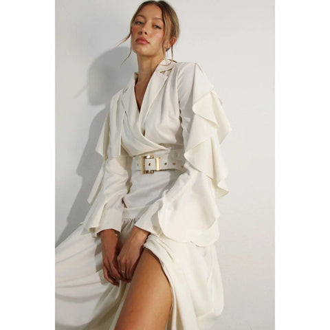 Collared Long Ruffle Sleeve Dress