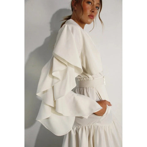 Collared Long Ruffle Sleeve Dress