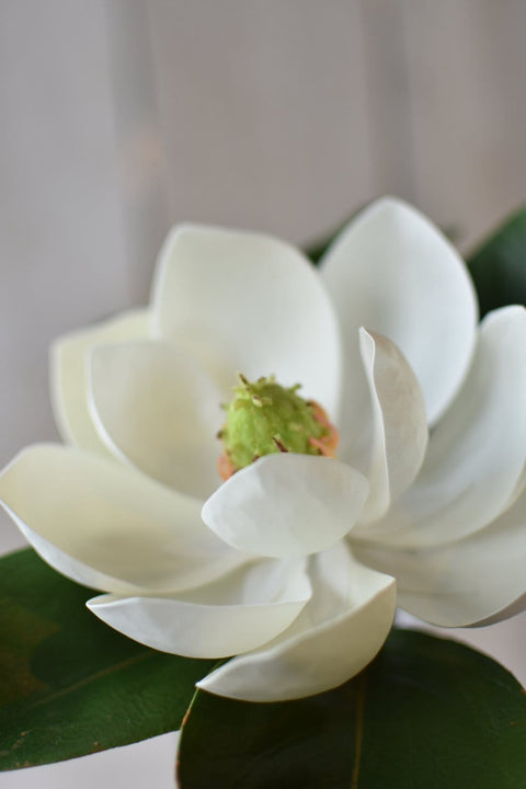 24" Faux Magnolia Blossom Stem