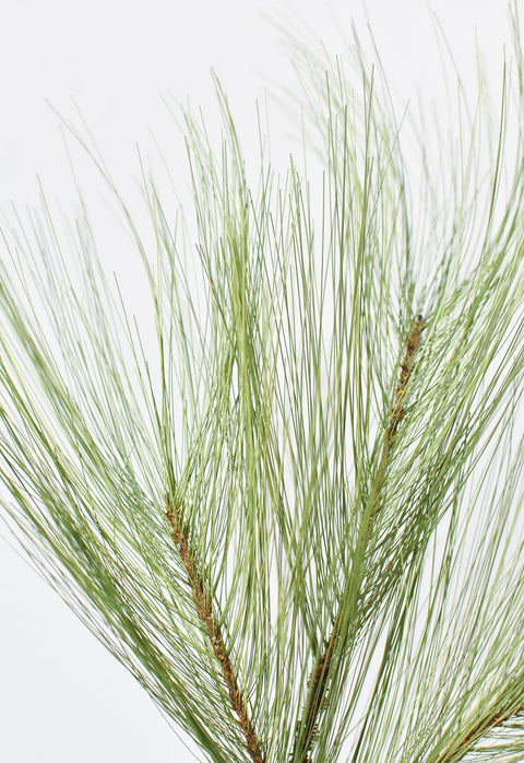 21” Long Needle Pine Spray