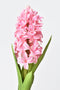 12.5" Faux Hyacinth Pink Stem