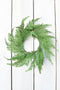 Small Cedar Wreath (4.5" Center Ring) CW2