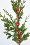 24" Faux Cedar Spray w/ Red Berry Stem
