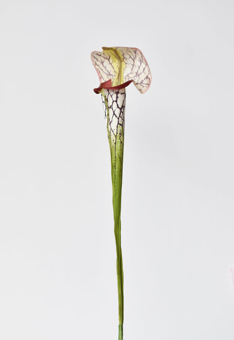 28" Faux Green/Burgundy Pitcher Plant Stem