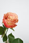 22" Faux Large Rose Bud Stem Light Coral