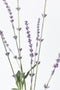 33" Faux Lavender Stem