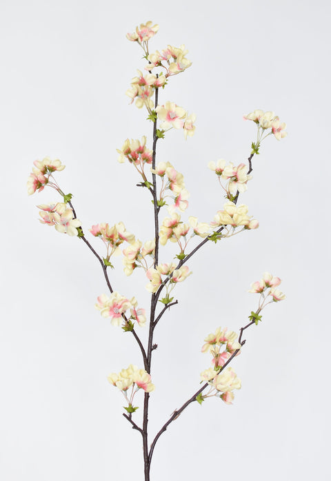 36" Faux Quince Blossom Apricot Cream Stem Flowering Branch