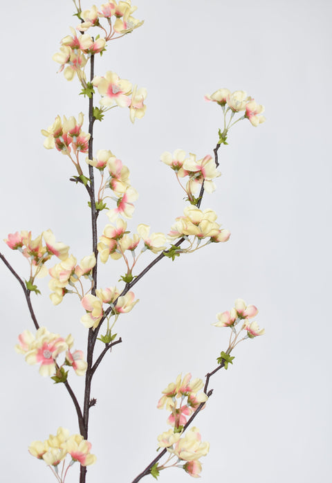 36" Faux Quince Blossom Apricot Cream Stem Flowering Branch