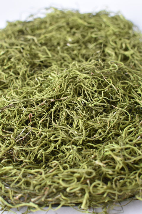 Spanish Moss: Green