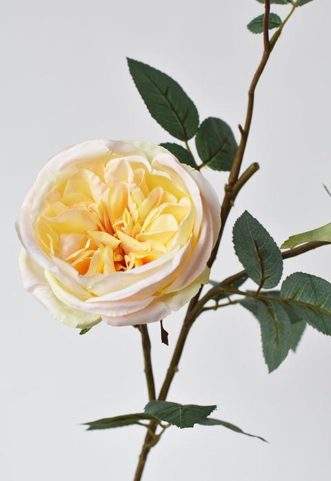 29" Faux Cabbage Rose Stem Yellow / Apricot