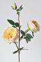 29" Faux Cabbage Rose Stem Yellow / Apricot