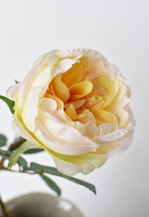29" Faux Cabbage Rose Stem Yellow / Apricot