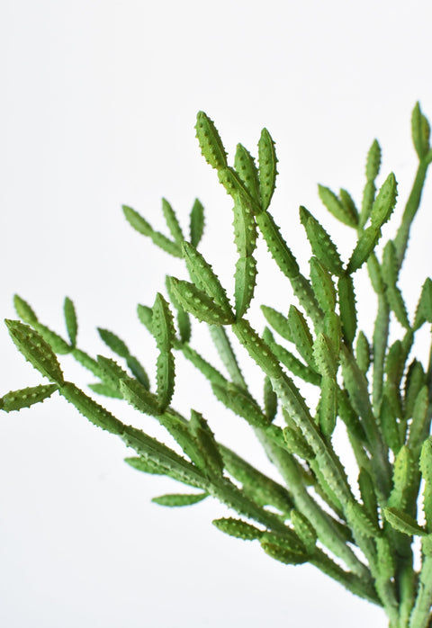 13" Faux Green Pencil Cactus Stem Succulent