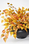 26" Faux Birch Leaf Stem Orange / Mustard / Yellow