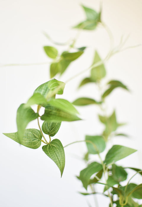 40" Faux Green Clematis Vine Stem