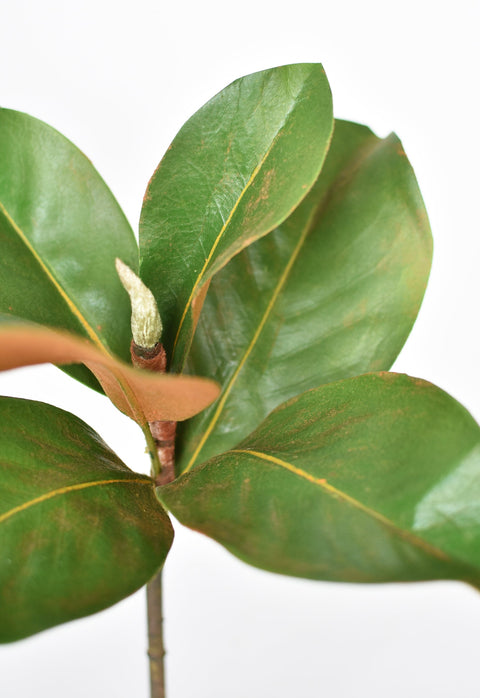 14" Faux Magnolia Leaf Stem