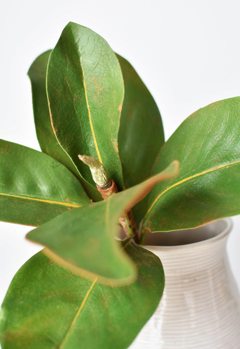 14" Faux Magnolia Leaf Stem