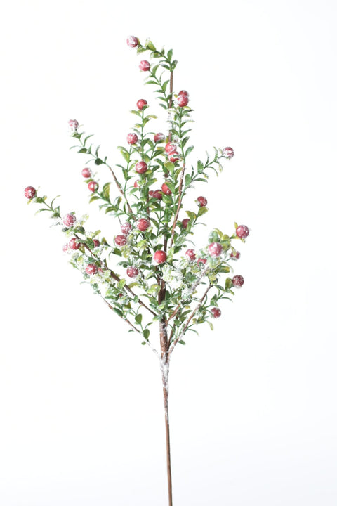 21" Faux Frosted Greenery with Red Berry Stem