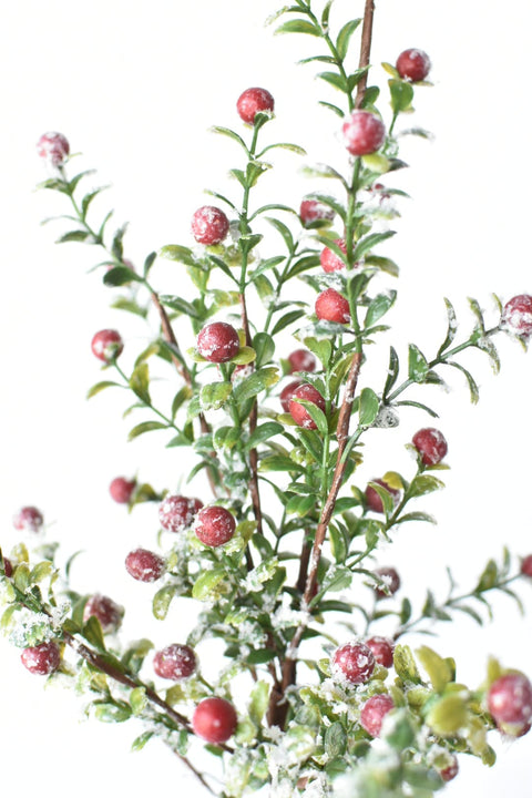 21" Faux Frosted Greenery with Red Berry Stem