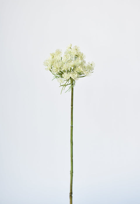 23" Faux White Queen Anne's Lace Stem