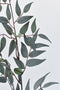 36" Faux Dark Green/Gray Ruscus Leaf Stem