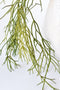 24" Faux Pencil Cactus Hanging Succulent Bush