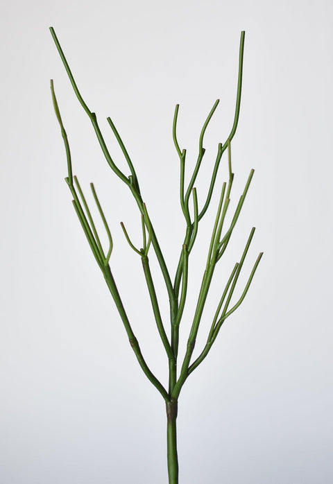 23" Faux Green Pencil Cactus Succulent Stem