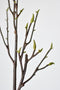36" Faux Magnolia Tree Branch Stem