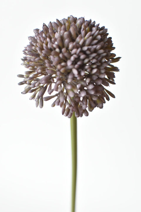 17.5" Faux Purple Allium Spray Stem