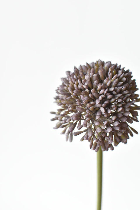 17.5" Faux Purple Allium Spray Stem