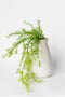 26" Faux Soft Asparagus Fern Sprengeri Bush