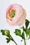 13" Faux Blush Ranunculus Stem