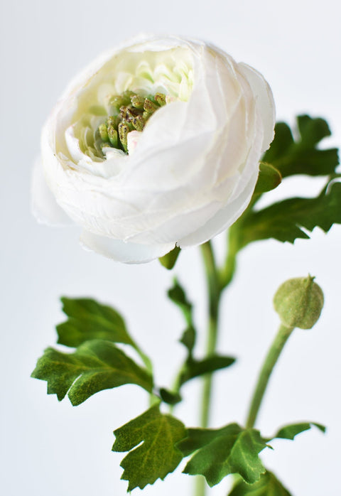 13" Faux White Ranunculus Stem