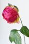 18" Faux Peony Bud Stem Fuchsia