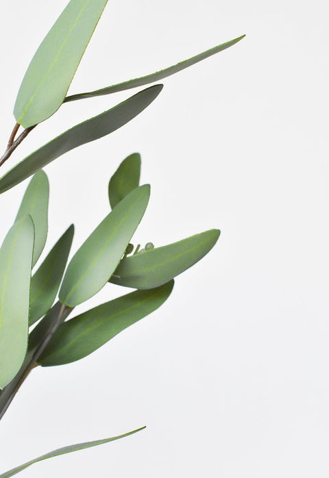 31" Faux Eucalyptus Leaf Stem