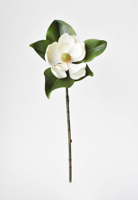 24" Faux Magnolia Blossom Stem