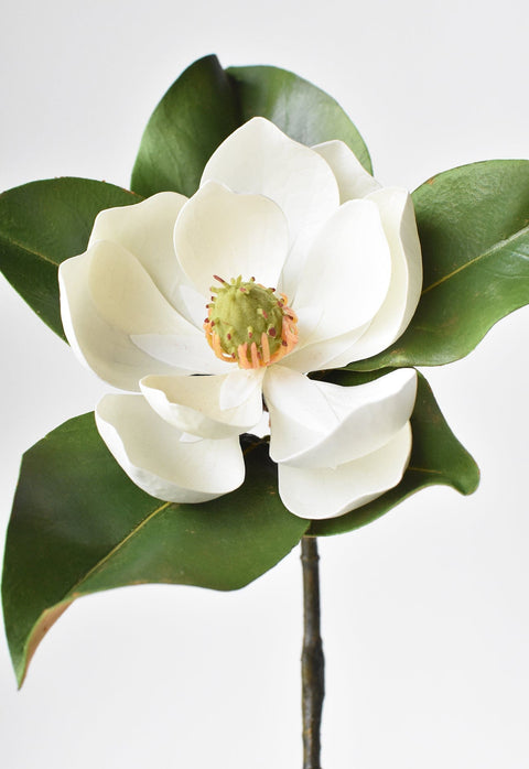 24" Faux Magnolia Blossom Stem
