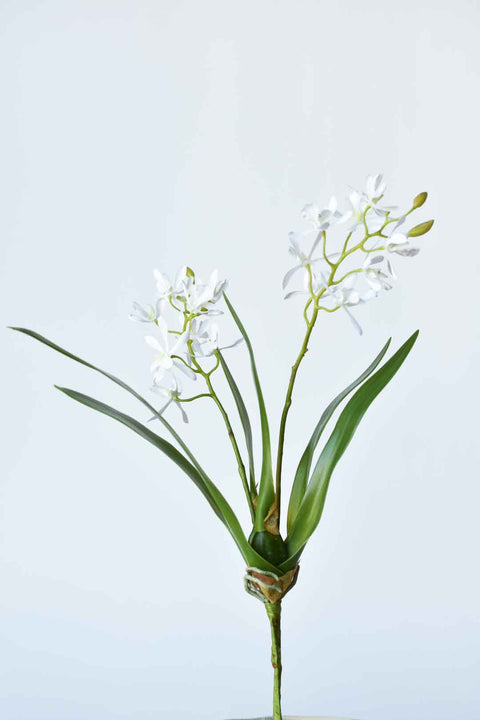 16" Faux Mini Orchid Stem with Leaves and Roots