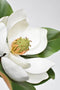 24" Faux Magnolia Blossom Stem